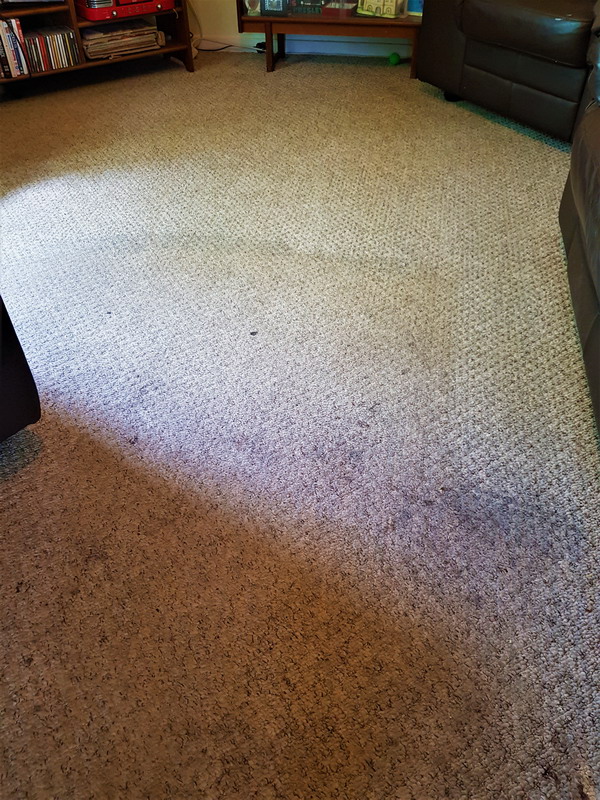 Carpet cleaning